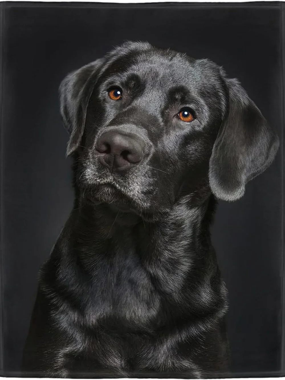 Cozy Black Lab Fleece Throw Blanket, Soft Fluffy Dog Print, 60